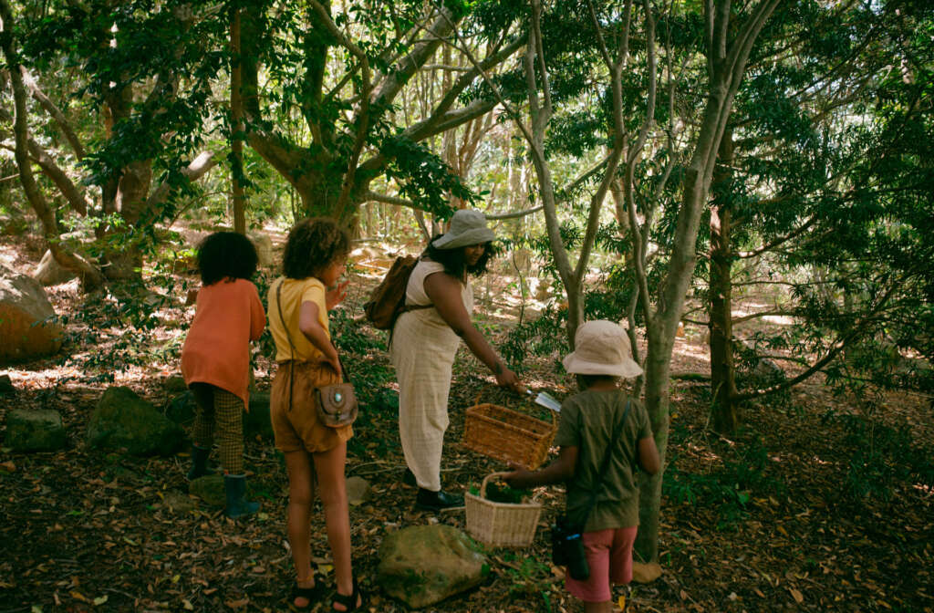niños y profesora haciendo actividades escolares al aire libre