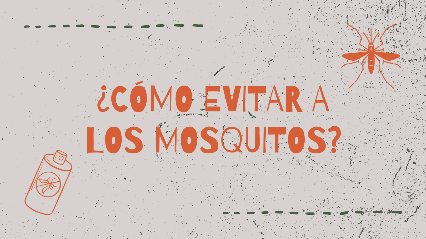 Lee más sobre el artículo Disfruta de tu viaje en autocaravana sin preocupaciones: consejos para mantener a los mosquitos a raya.