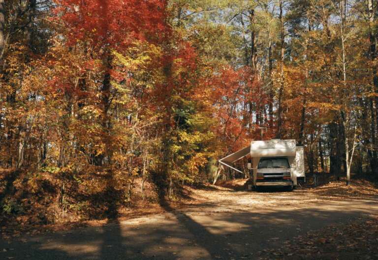 Lee más sobre el artículo Inspiración de otoño: imprescindibles para tu caravana