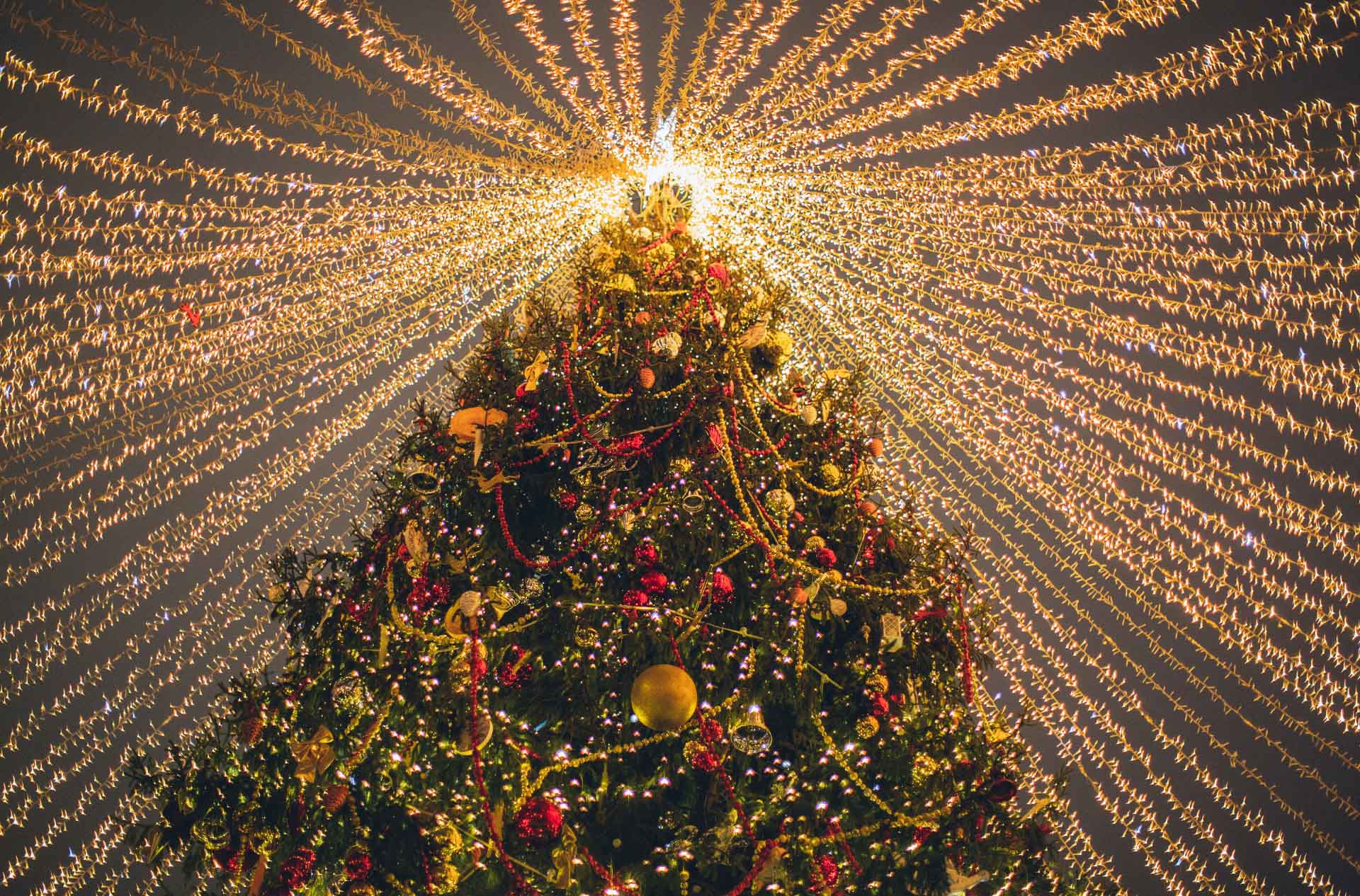 Lee más sobre el artículo Luces navideñas sobre ruedas: las mejores rutas en autocaravana para ver el alumbrado navideño