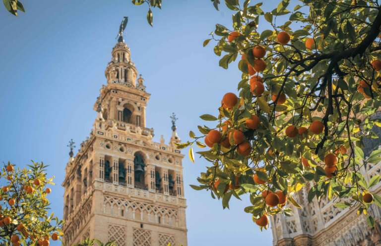 Lee más sobre el artículo Feria de Abril en autocaravana: disfruta de la tradición y alegría sobre ruedas