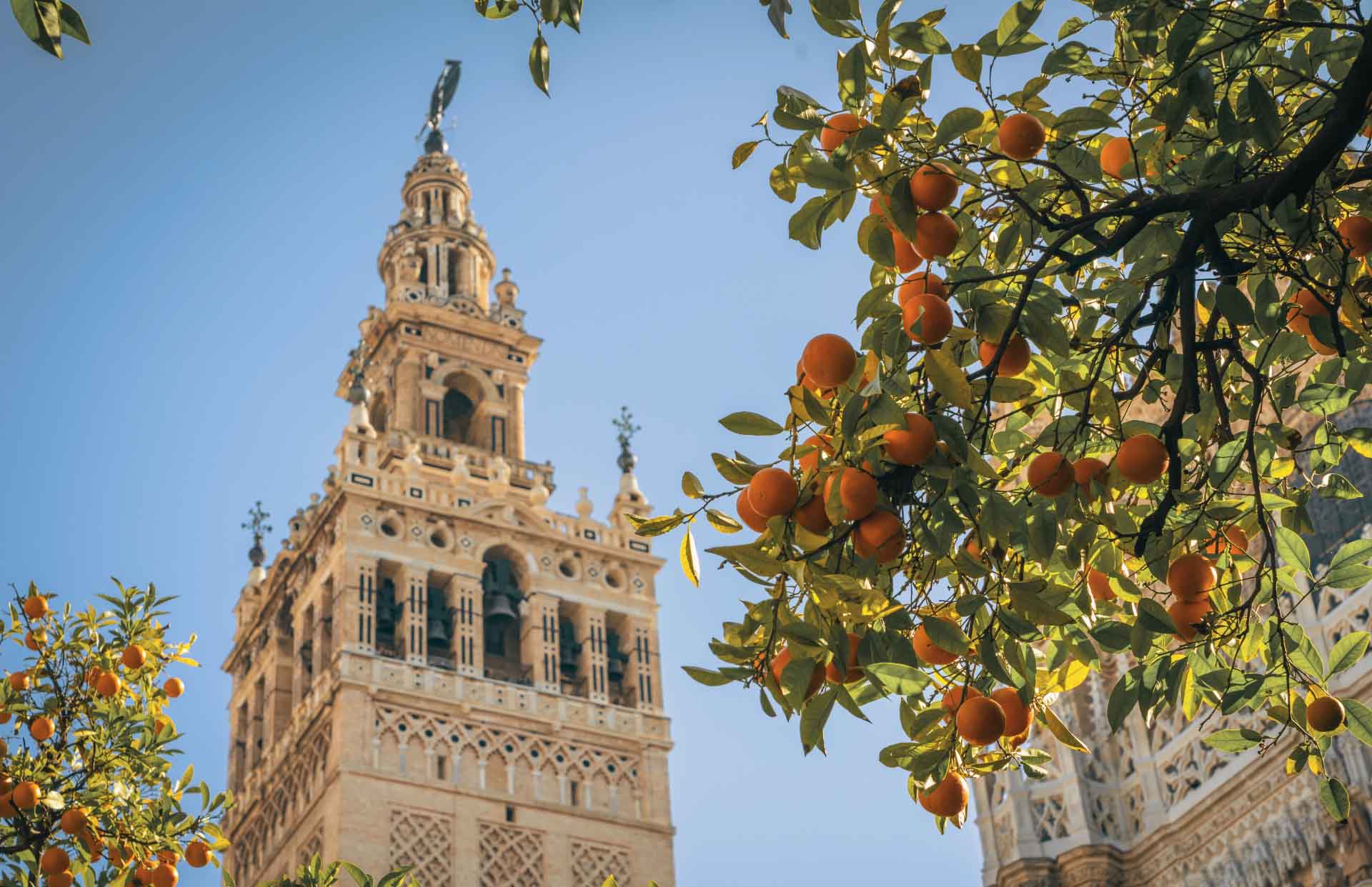 Lee más sobre el artículo Feria de Abril en autocaravana: disfruta de la tradición y alegría sobre ruedas