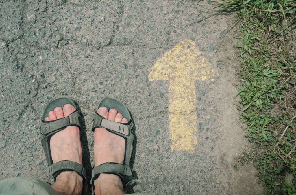 Camino de Santiago