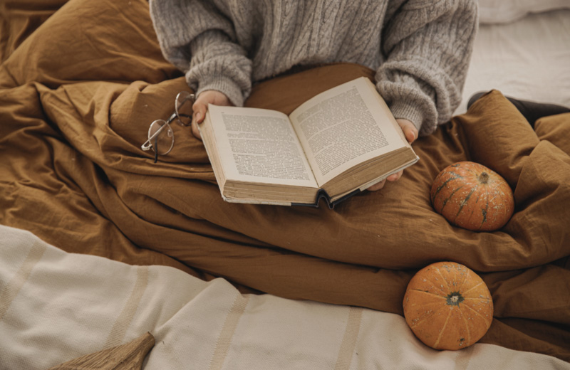 Lee más sobre el artículo Libros para viajar en autocaravana este otoño: lecturas que inspiran rutas y sueños